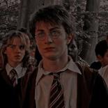 Harry Potter fanfik✨