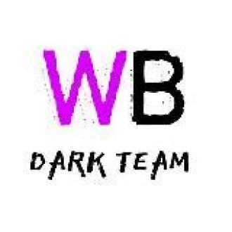 Телеграм каналы wildberries. WB команда. ВБ Team. Дарк тим. Wildberry Dark.