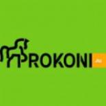 Prokoni.ru — Chat