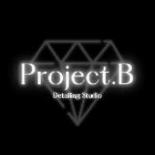 Project B. 