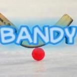 BANDY - хоккей с мячом 