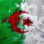 Алжир сегодня 
