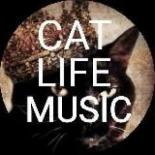 Cat_life_music_сhanel