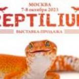 Рептилиум Reptilium | змеи | ящерицы | лягушки | рыбки