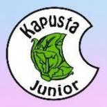 Капуста Джуниор / KAPUSTA JUNIOR / Детская и подростковая одежда. Школьная форма