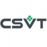 CSVT: свет и потолки