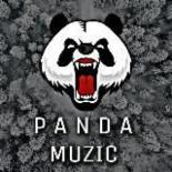 Panda Muzic 