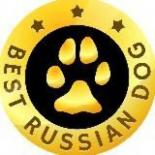 BEST RUSSIAN DOG ЛУЧШИЕ СОБАКИ РОССИИ