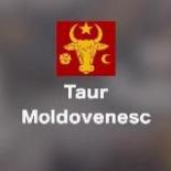Taur Moldovenesc | Молдова